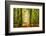 Power Beam-Lars Van de Goor-Framed Photographic Print