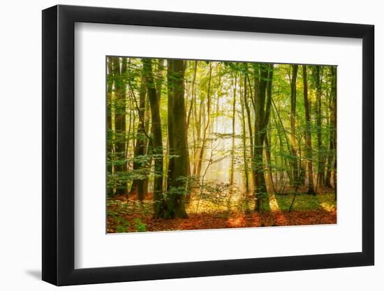 Power Beam-Lars Van de Goor-Framed Photographic Print