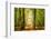 Power Beam-Lars Van de Goor-Framed Photographic Print