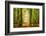 Power Beam-Lars Van de Goor-Framed Photographic Print