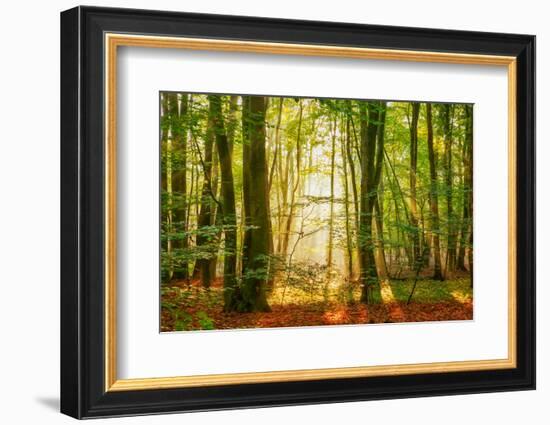 Power Beam-Lars Van de Goor-Framed Photographic Print