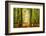 Power Beam-Lars Van de Goor-Framed Photographic Print