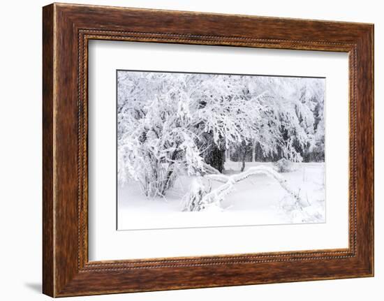 Power Down-Philippe Sainte-Laudy-Framed Photographic Print