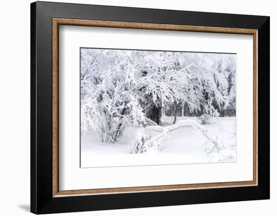 Power Down-Philippe Sainte-Laudy-Framed Photographic Print