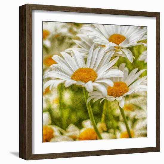 Power Flower-Viviane Fedieu Daniel-Framed Photographic Print