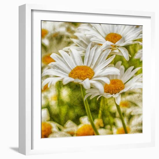 Power Flower-Viviane Fedieu Daniel-Framed Photographic Print