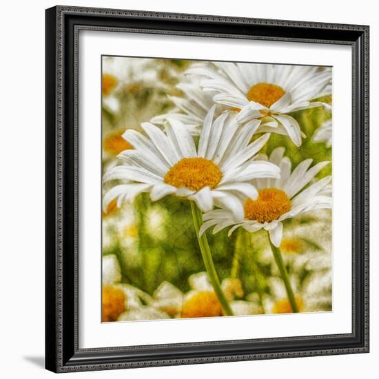 Power Flower-Viviane Fedieu Daniel-Framed Photographic Print