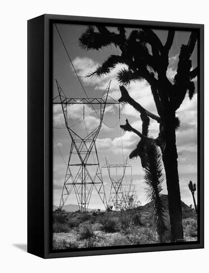 Power Line That Carries Current from Hoover Dam to Los Angeles, in Mojave Desert-Loomis Dean-Framed Premier Image Canvas