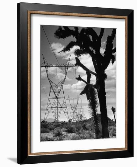 Power Line That Carries Current from Hoover Dam to Los Angeles, in Mojave Desert-Loomis Dean-Framed Photographic Print