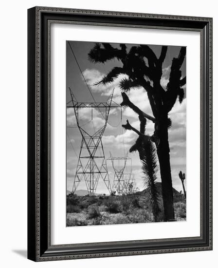 Power Line That Carries Current from Hoover Dam to Los Angeles, in Mojave Desert-Loomis Dean-Framed Photographic Print