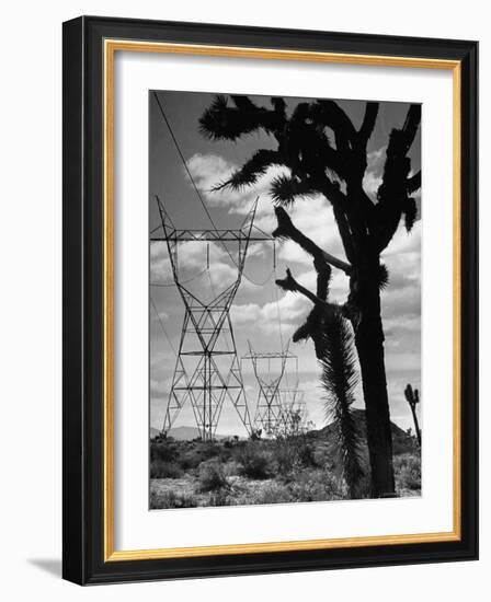 Power Line That Carries Current from Hoover Dam to Los Angeles, in Mojave Desert-Loomis Dean-Framed Photographic Print