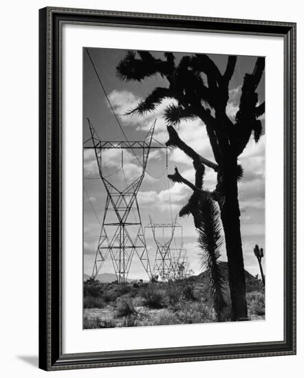 Power Line That Carries Current from Hoover Dam to Los Angeles, in Mojave Desert-Loomis Dean-Framed Photographic Print