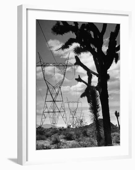 Power Line That Carries Current from Hoover Dam to Los Angeles, in Mojave Desert-Loomis Dean-Framed Photographic Print