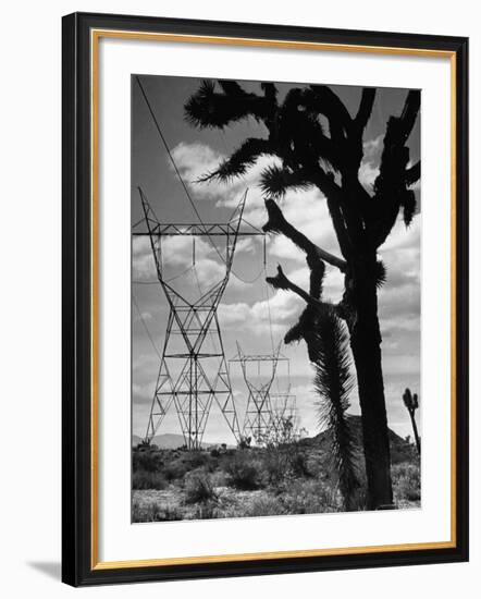 Power Line That Carries Current from Hoover Dam to Los Angeles, in Mojave Desert-Loomis Dean-Framed Photographic Print