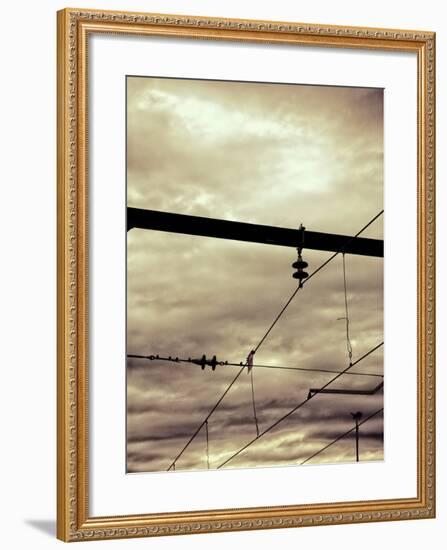 Power Lines-Steve Allsopp-Framed Photographic Print