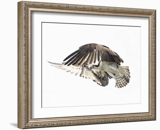 Power Move-Wink Gaines-Framed Giclee Print