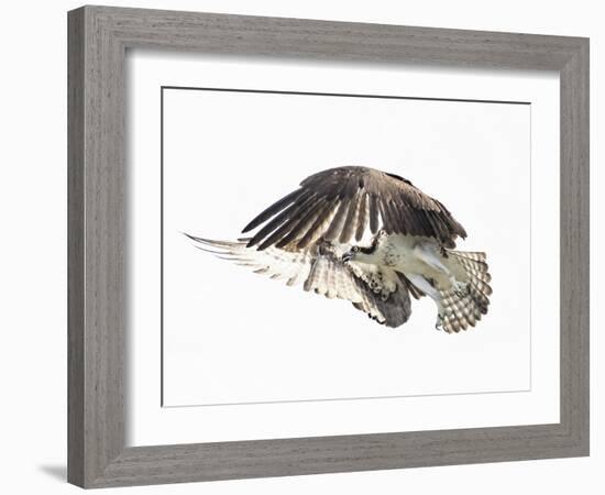 Power Move-Wink Gaines-Framed Giclee Print