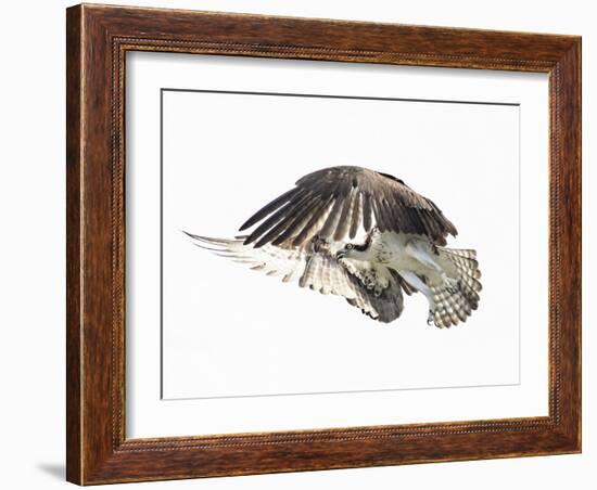 Power Move-Wink Gaines-Framed Giclee Print