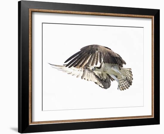 Power Move-Wink Gaines-Framed Giclee Print