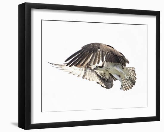 Power Move-Wink Gaines-Framed Giclee Print