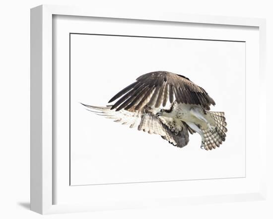 Power Move-Wink Gaines-Framed Giclee Print