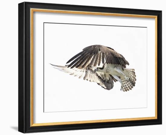 Power Move-Wink Gaines-Framed Giclee Print