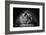 Power-Gorazd Golob-Framed Photographic Print