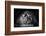 Power-Gorazd Golob-Framed Photographic Print