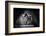 Power-Gorazd Golob-Framed Photographic Print