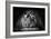 Power-Gorazd Golob-Framed Photographic Print