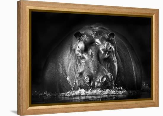 Power-Gorazd Golob-Framed Premier Image Canvas