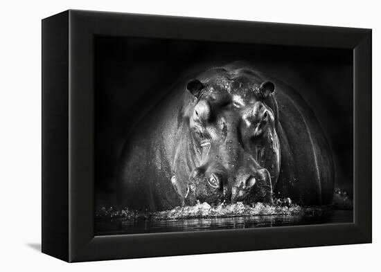 Power-Gorazd Golob-Framed Premier Image Canvas