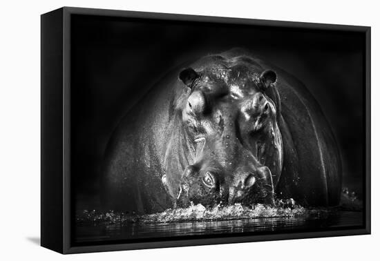 Power-Gorazd Golob-Framed Premier Image Canvas