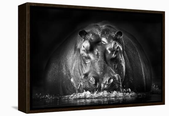 Power-Gorazd Golob-Framed Premier Image Canvas