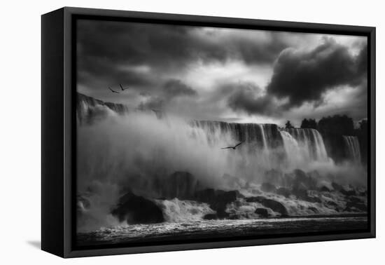 Powerful Splendor-Yvette Depaepe-Framed Premier Image Canvas