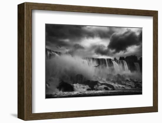 Powerful Splendor-Yvette Depaepe-Framed Photographic Print