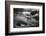 Powerful Splendor-Yvette Depaepe-Framed Photographic Print