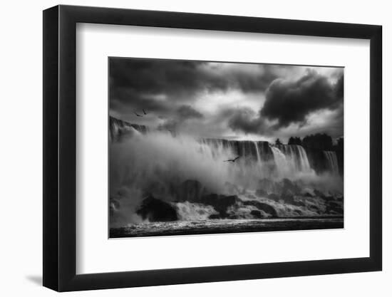 Powerful Splendor-Yvette Depaepe-Framed Photographic Print