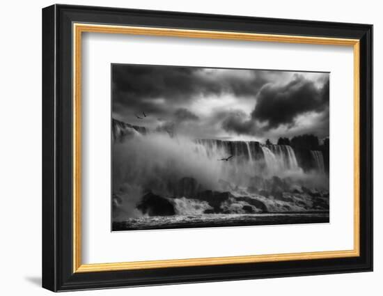 Powerful Splendor-Yvette Depaepe-Framed Photographic Print