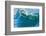 Powerful wave breaking off a beach, Hawaii-Mark A Johnson-Framed Photographic Print