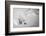 Powradise-Benjamin Trévillot-Framed Photographic Print