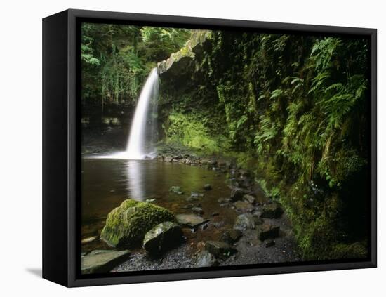 Powys, Sgwd Gwladus, a Waterfall on Neath River, Ystradfellte, Brecon Beacons National Park, Wales-Paul Harris-Framed Premier Image Canvas