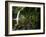 Powys, Sgwd Gwladus, a Waterfall on Neath River, Ystradfellte, Brecon Beacons National Park, Wales-Paul Harris-Framed Photographic Print