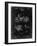 PP10 Black Grunge-Borders Cole-Framed Giclee Print