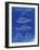 PP1076-Faded Blueprint Suzuki Jet Ski Patent Poster-Cole Borders-Framed Giclee Print