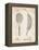PP1127-Vintage Parchment Vintage Tennis Racket 1891 Patent Poster-Cole Borders-Framed Premier Image Canvas