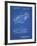 PP16 Blueprint-Borders Cole-Framed Giclee Print