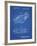 PP16 Blueprint-Borders Cole-Framed Giclee Print