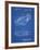 PP16 Blueprint-Borders Cole-Framed Giclee Print