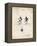 PP191- Vintage Parchment Mickey Mouse 1929 Patent Poster-Cole Borders-Framed Premier Image Canvas